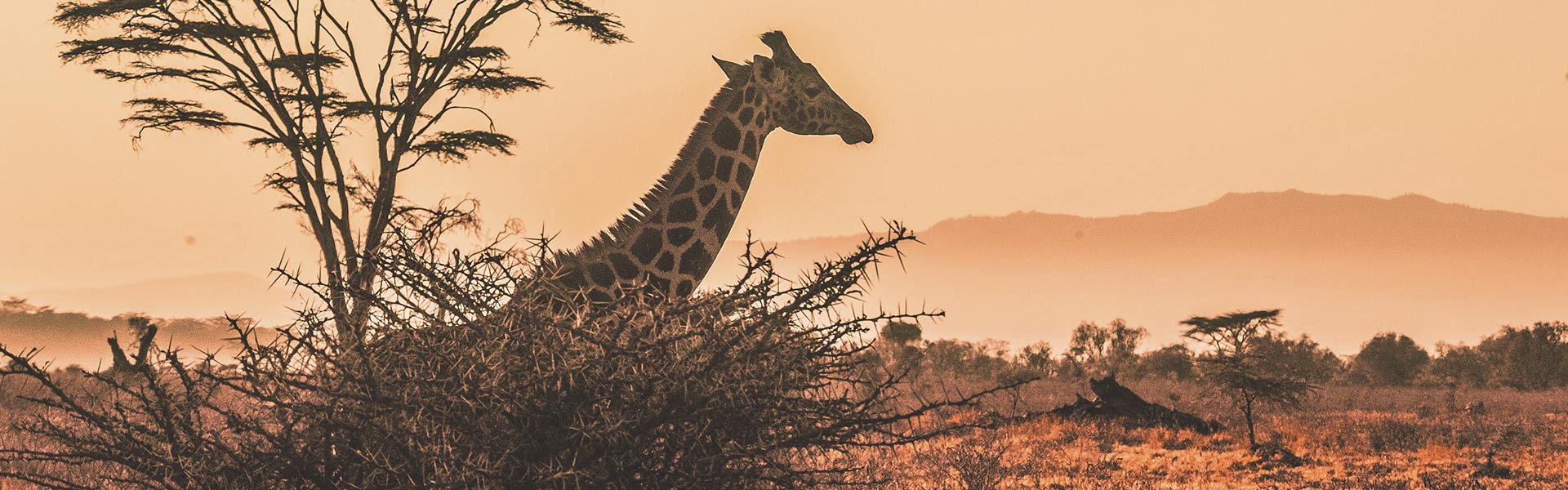 Explore-Africa-Travel-Impressum